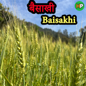 Baisakhi ( बैसाखी ) Festival 2024 : Date,Auspicious Time, importance of Baisakhi Festival And More